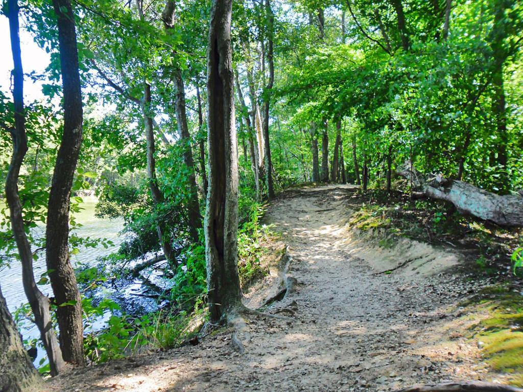 Private Boho Bungalow 10 Minutes To Downtown Rva! Richmond Eksteriør billede